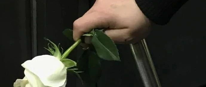 孕妇效应，股价就是最好的说明-2025-04-09号随笔