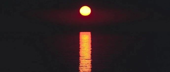 人类的不幸源于他们不能安静地独处一室-2025-04-21号随笔