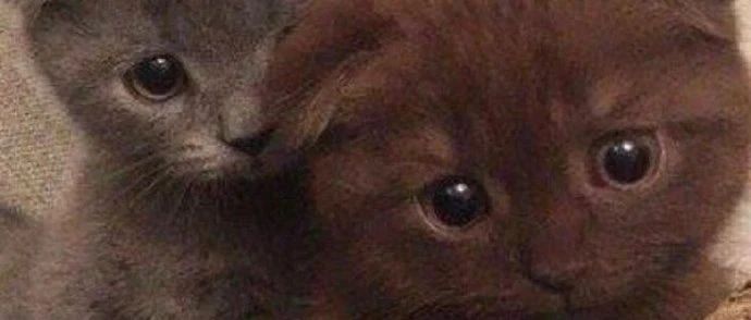 我是第一位的-2025-05-22号随笔