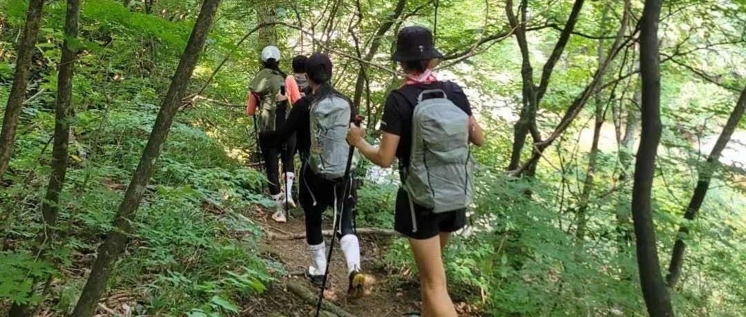 怎么让人关注你-2025-06-06号随笔