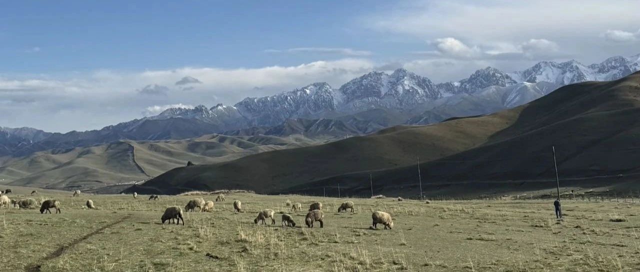 把工作当事业去干-2025-06-11号随笔