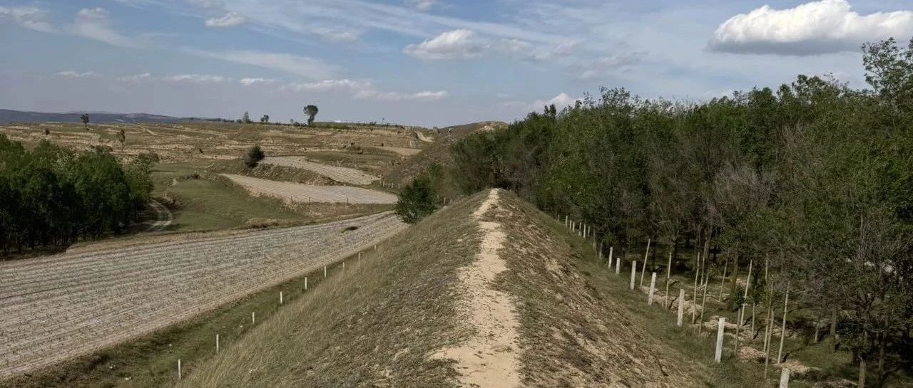 婚姻如开盲盒  2025-06-22号随笔