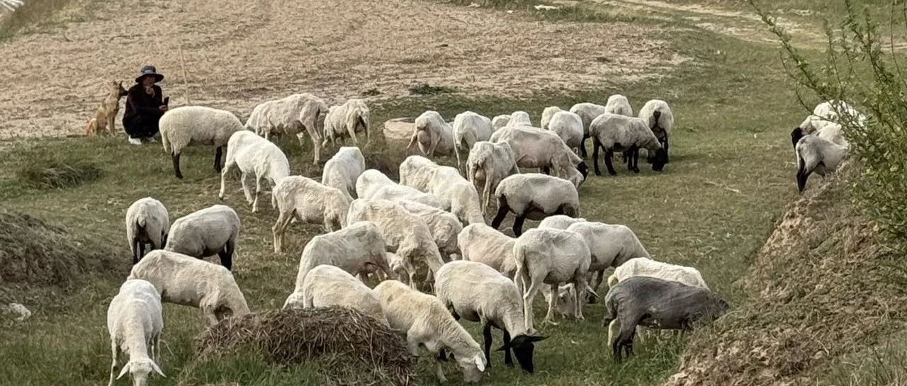 入一行，最快的办法是去打工-2025-06-23号随笔